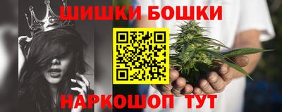 МДПВ Дубна