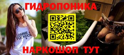 МДПВ Дубна
