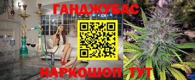 МДПВ Дубна