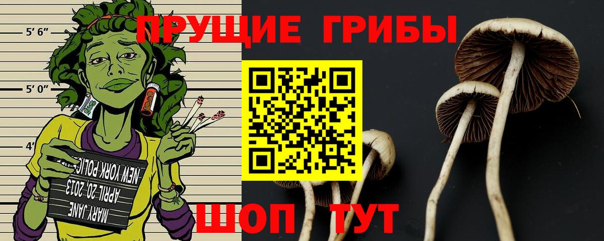 Псилоцибиновые грибы мухоморы  Краснодар 